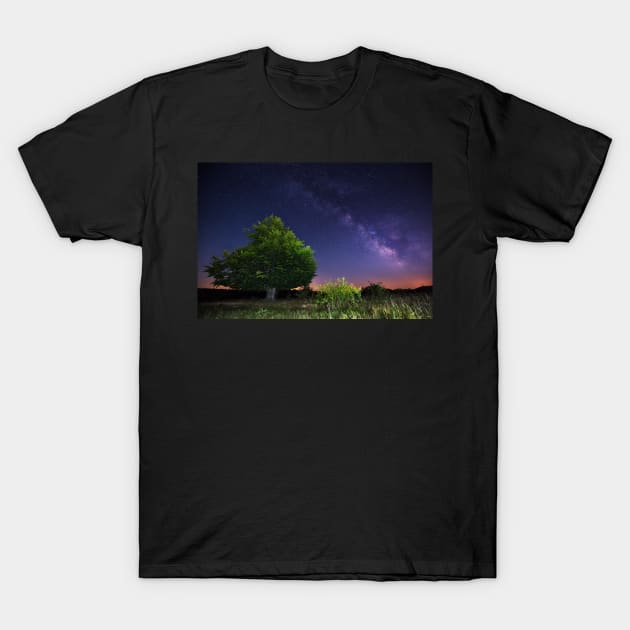 Milky Way over a large tree T-Shirt by naturalis